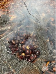 Beiträge aus dem Schulalltag