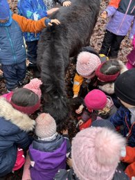Aus unserem Schulalltag