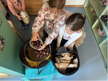 Beiträge aus dem Schulalltag