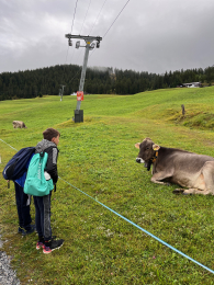 Beiträge aus dem Schulalltag