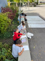 Beiträge aus dem Schulalltag