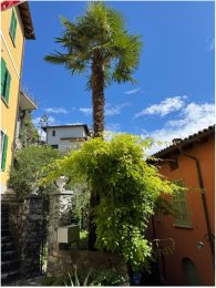 Beiträge aus dem Schulalltag