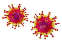 Coronavirus