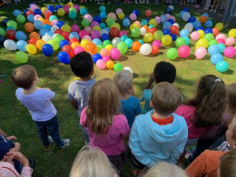 Beiträge aus dem Schulalltag