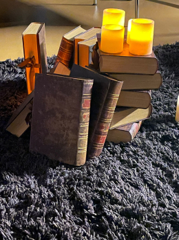 Beiträge aus dem Schulalltag