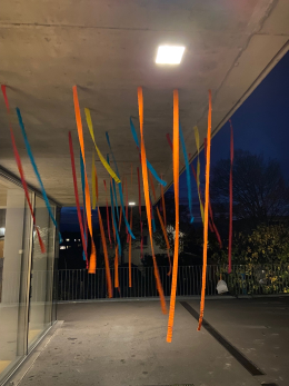 Beiträge aus dem Schulalltag